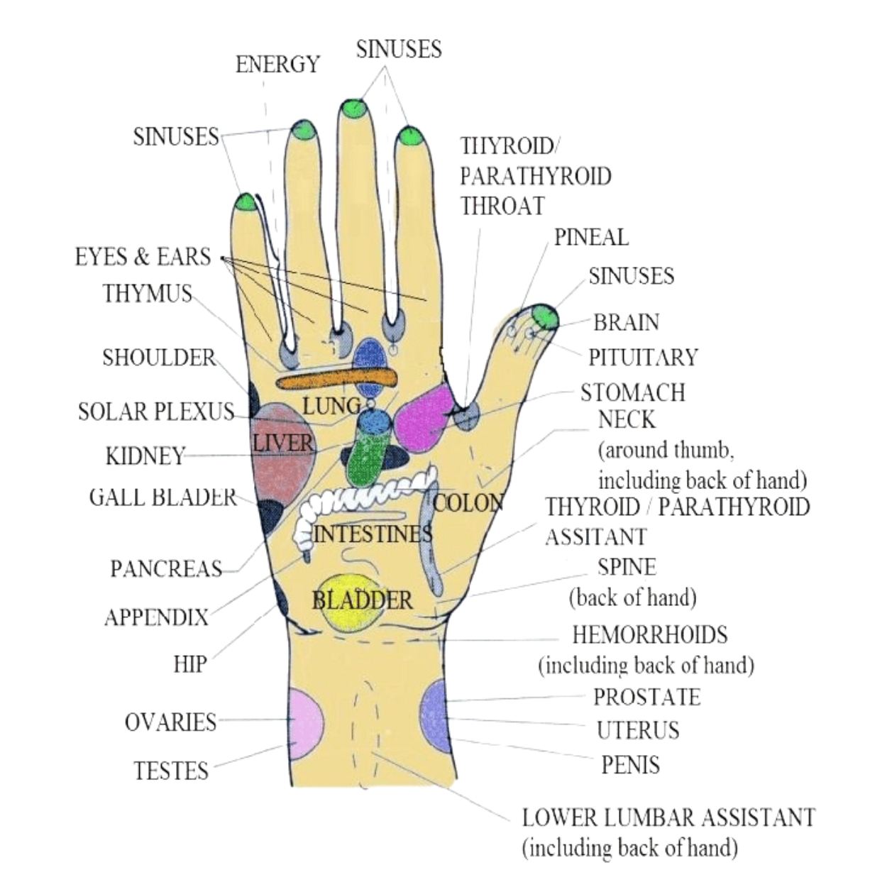 k-start-course-image